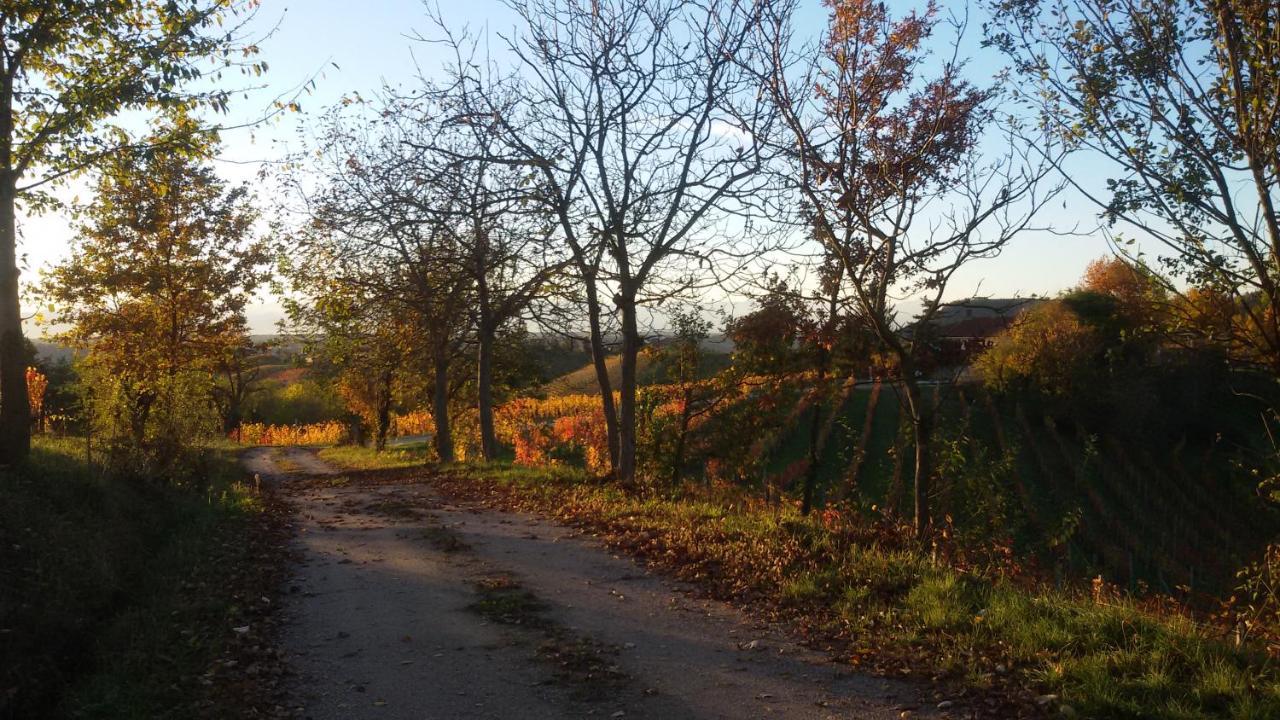 Cascina Torello Доляни Екстериор снимка