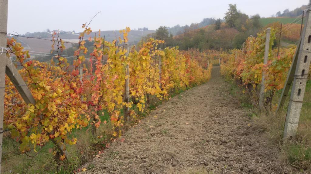 Cascina Torello Доляни Екстериор снимка
