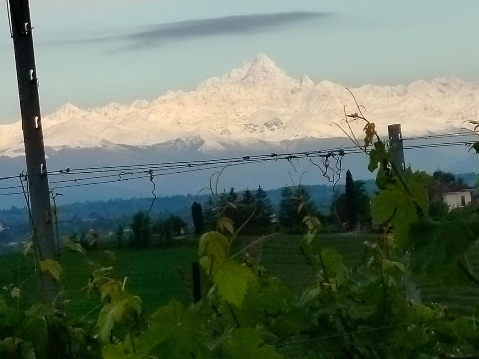 Cascina Torello Доляни Екстериор снимка