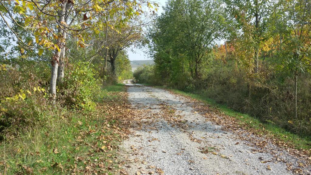 Cascina Torello Доляни Екстериор снимка