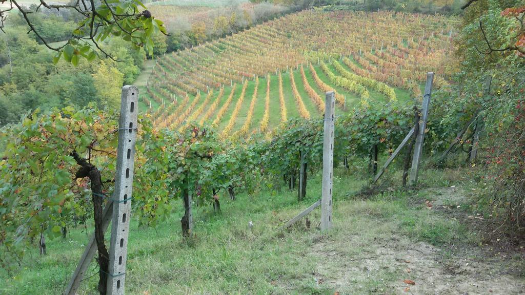 Cascina Torello Доляни Екстериор снимка