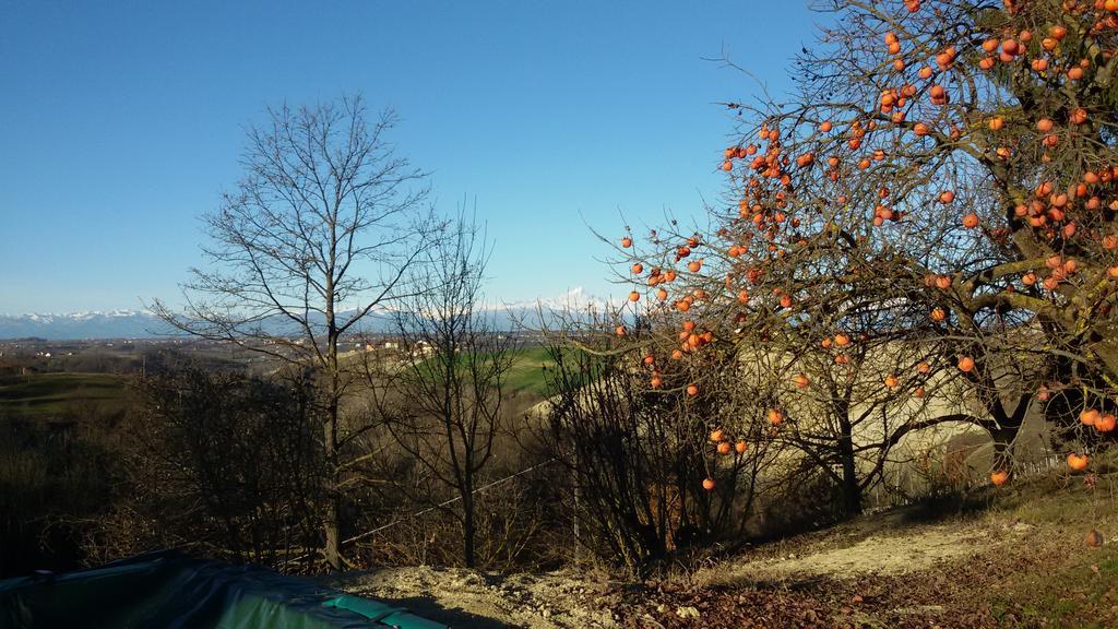 Cascina Torello Доляни Екстериор снимка