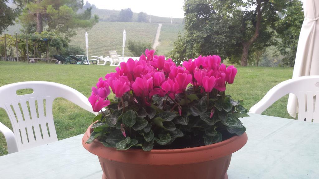 Cascina Torello Доляни Екстериор снимка