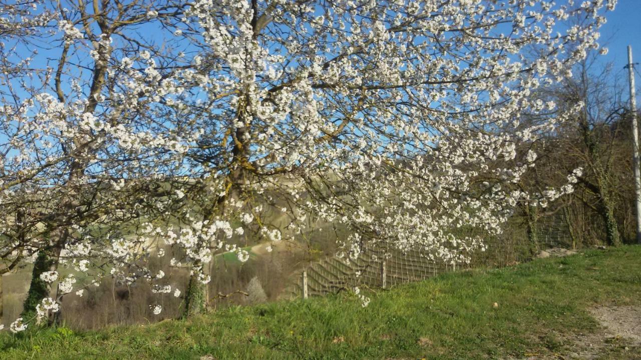 Cascina Torello Доляни Екстериор снимка