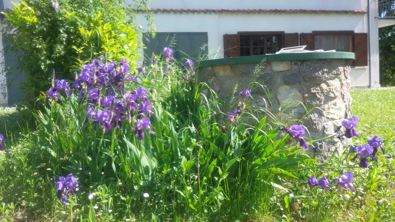 Cascina Torello Доляни Екстериор снимка