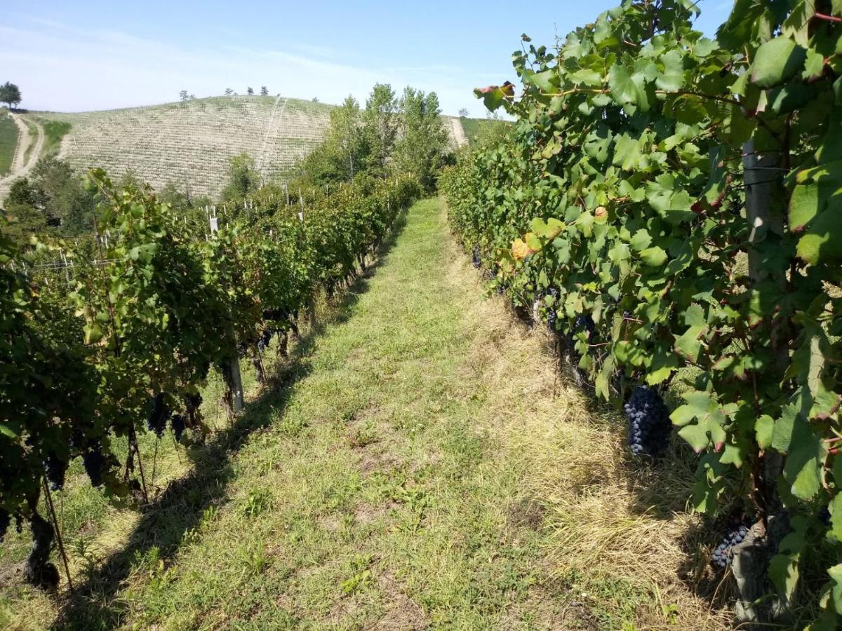 Cascina Torello Доляни Екстериор снимка