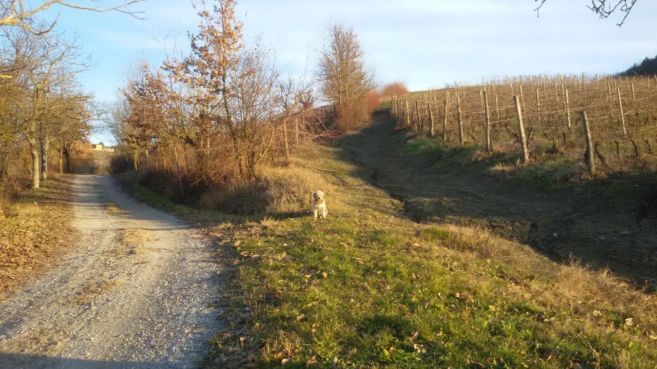 Cascina Torello Доляни Екстериор снимка