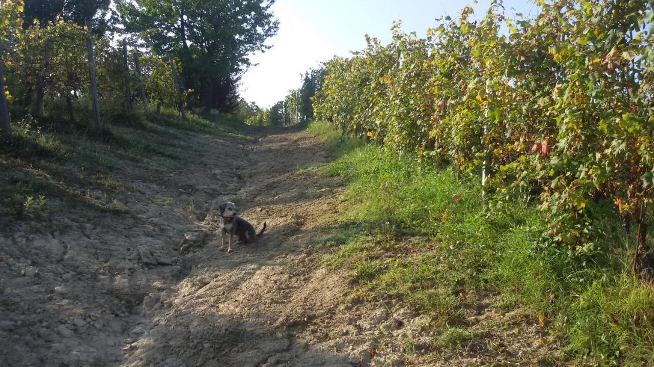 Cascina Torello Доляни Екстериор снимка